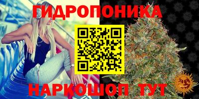 крисы Краснодар
