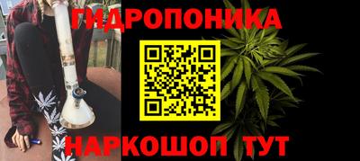крисы Краснодар