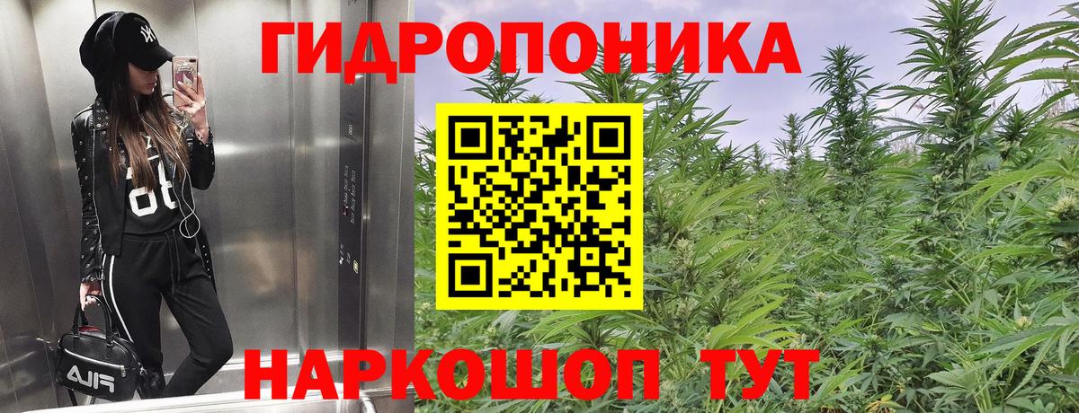 Конопля сатива Казань